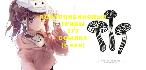 прущие крисы Богородск